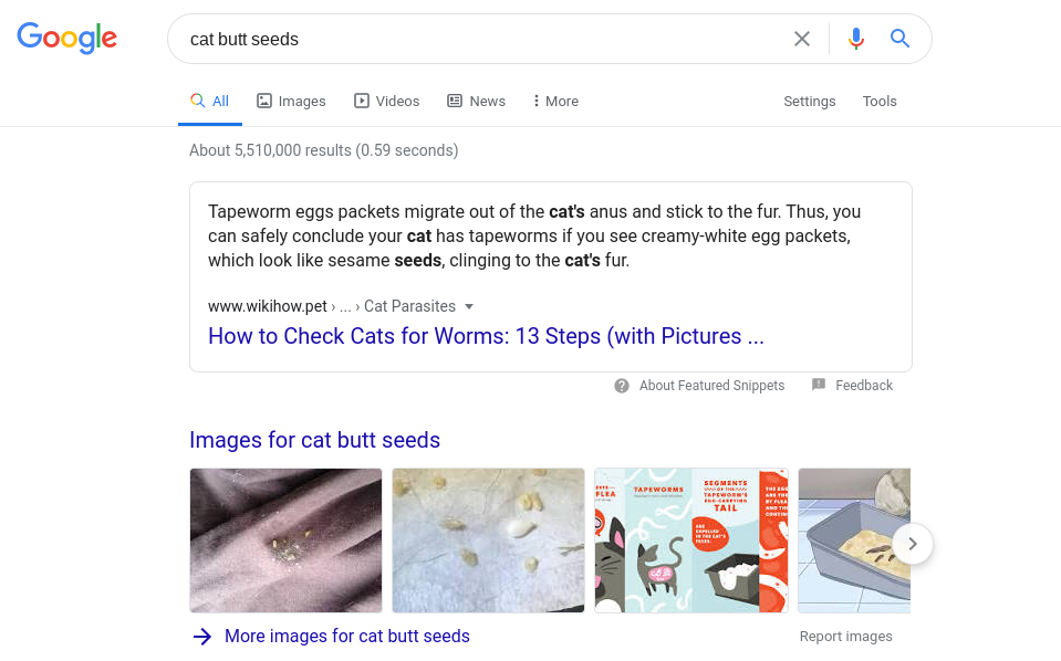 cat butt seeds - Google Search